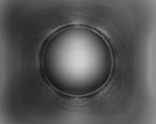 X0000089441311200706291418