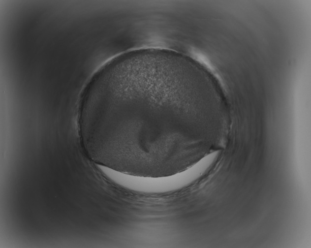 X0000089441312200706291418