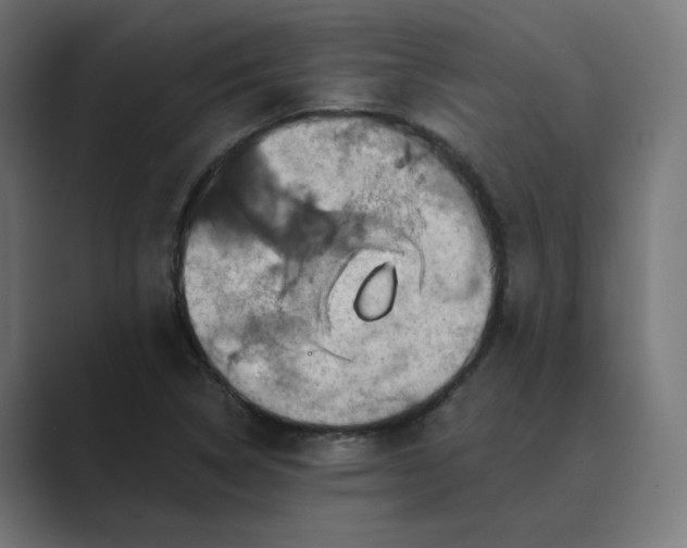 X0000089441314200706291418