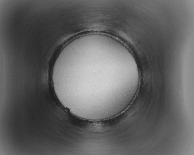 X0000089441315200706291418