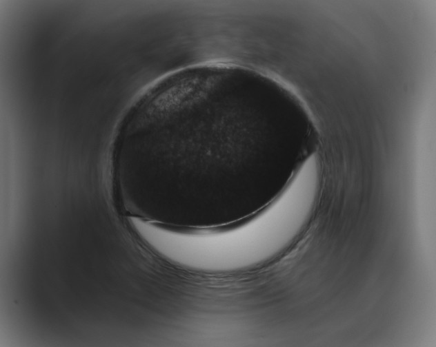 X0000089441319200706291418