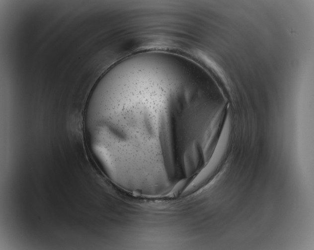 X0000089441329200706291418