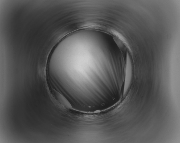 X0000089441330200706291418
