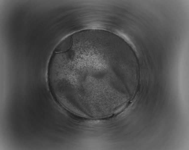 X0000089441331200706291418