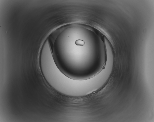 X0000089441332200706291418