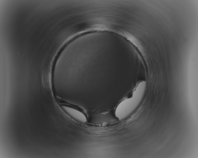 X0000089441334200706291418