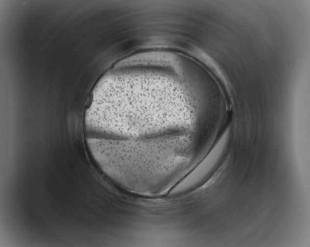 X0000089441337200706291418