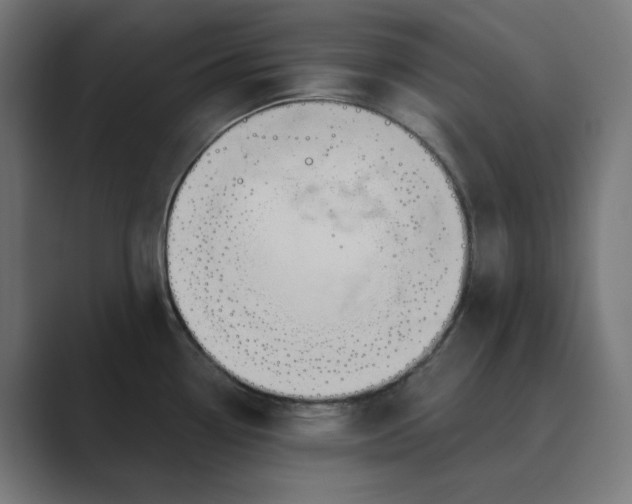 X0000089441338200706291418