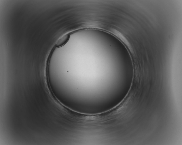 X0000089441339200706291418
