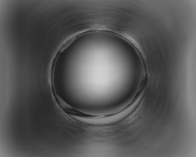 X0000089441342200706291418