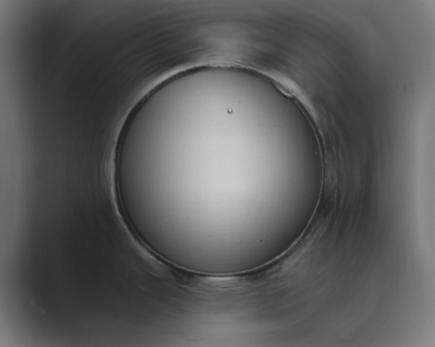 X0000089441343200706291418