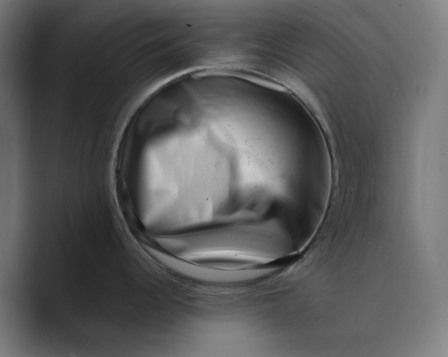 X0000089441344200706291418