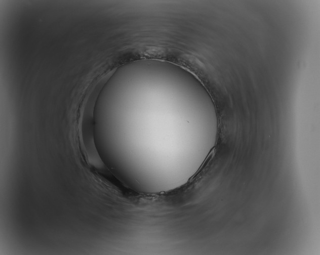 X0000089441345200706291418