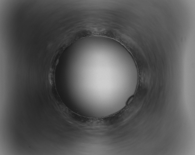 X0000089441346200706291418