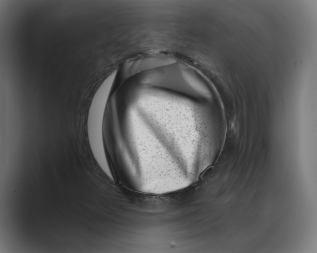 X0000089441348200706291418