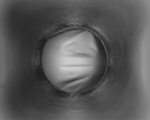 X0000089441350200706291418