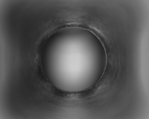 X0000089441351200706291418