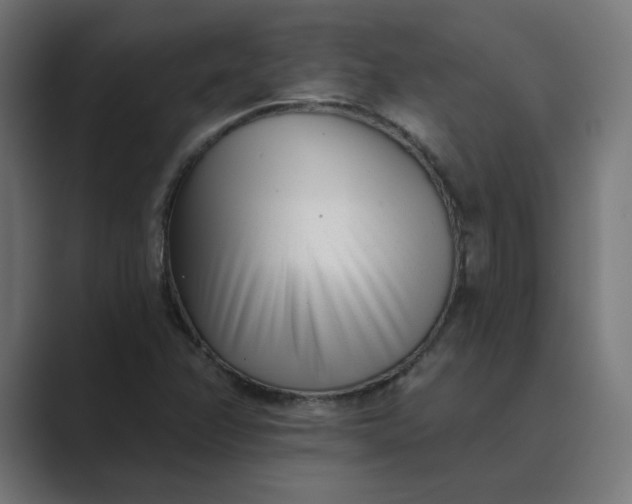 X0000089441358200706291417