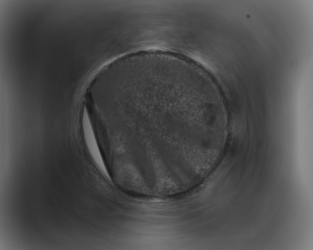 X0000089441359200706291417