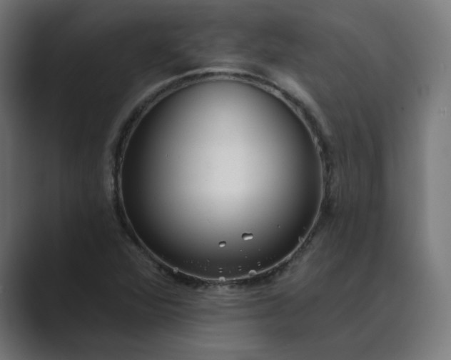X0000089441360200706291417