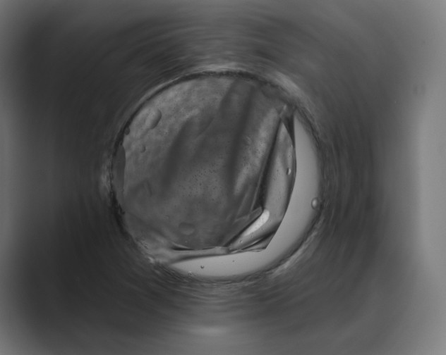 X0000089441361200706291417
