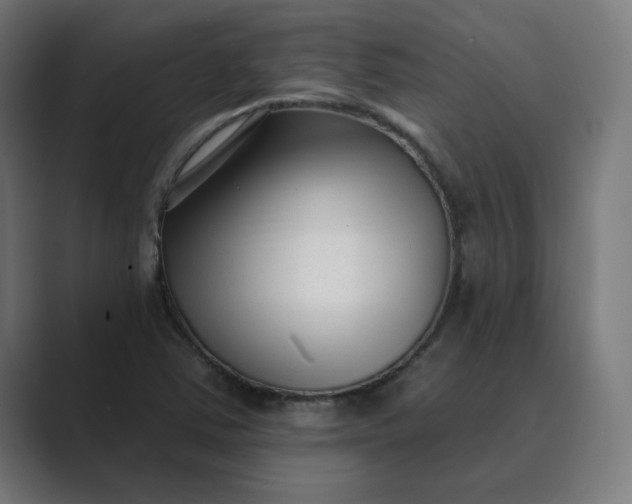 X0000089441363200706291417