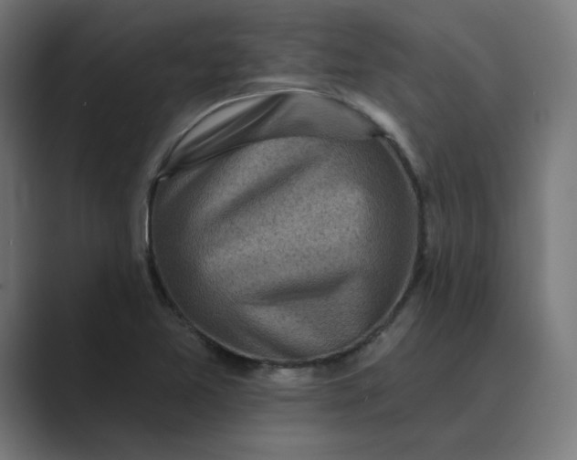 X0000089441365200706291417