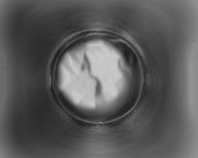 X0000089441368200706291417
