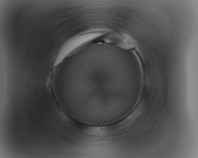 X0000089441369200706291417