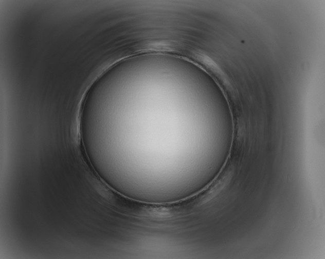 X0000089441370200706291417