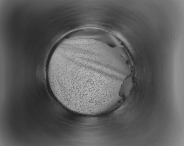 X0000089441372200706291417