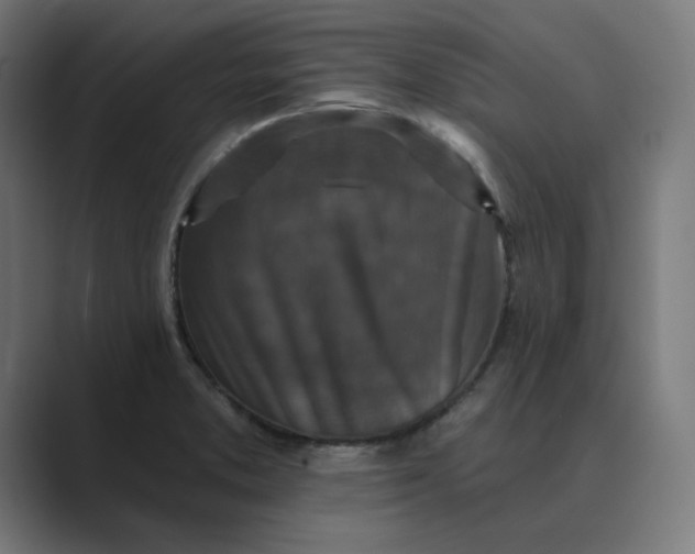 X0000089441373200706291417