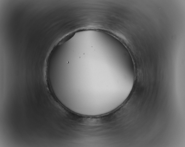 X0000089441374200706291417