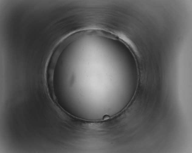 X0000089441380200706291417