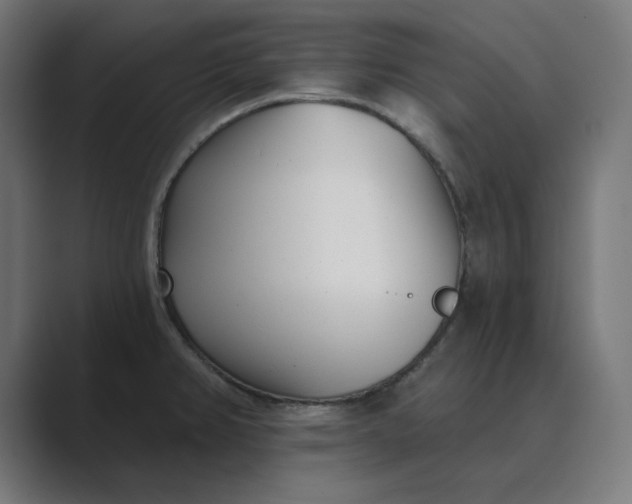 X0000089441382200706291417