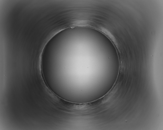 X0000089441386200706291417