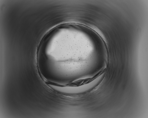 X0000089441388200706291417