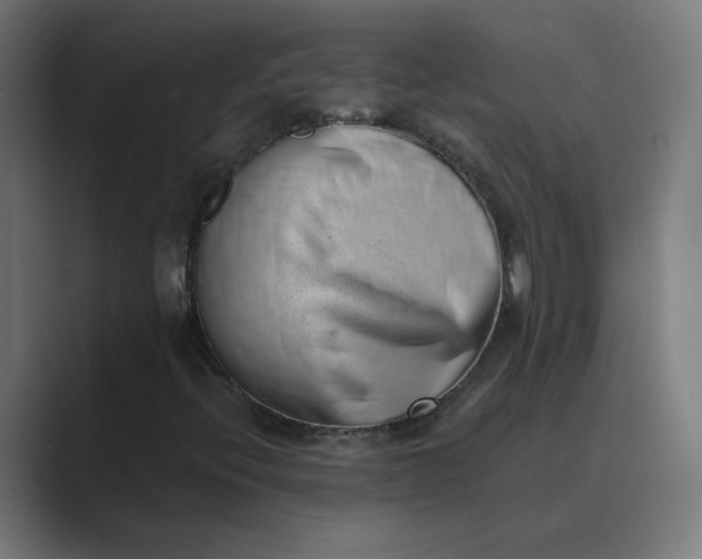 X0000089441396200706291417