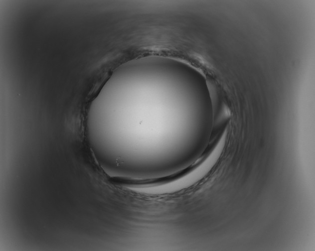 X0000089441398200706291417
