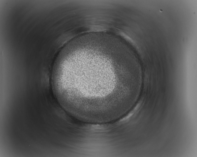 X0000089441401200706291417