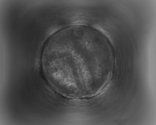 X0000089441405200706291417