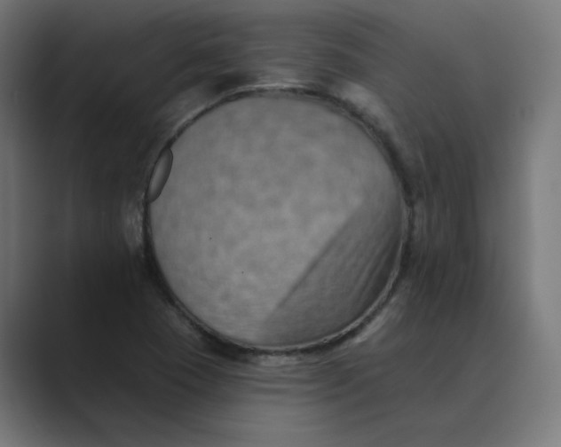 X0000089441409200706291417