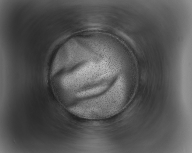 X0000089441411200706291417