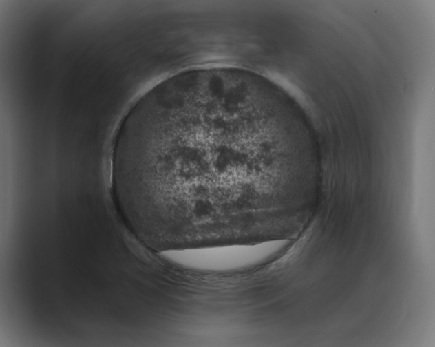 X0000089441413200706291417