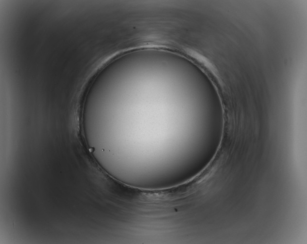 X0000089441415200706291417