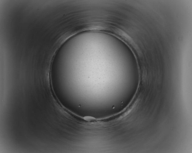 X0000089441417200706291417
