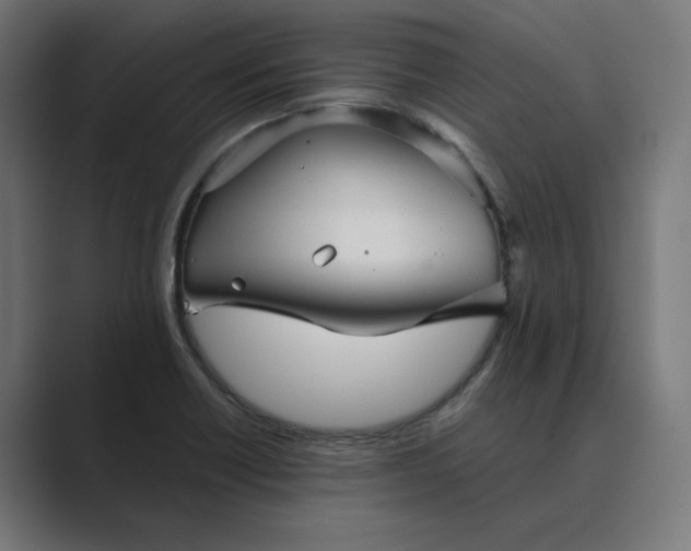 X0000089441418200706291417