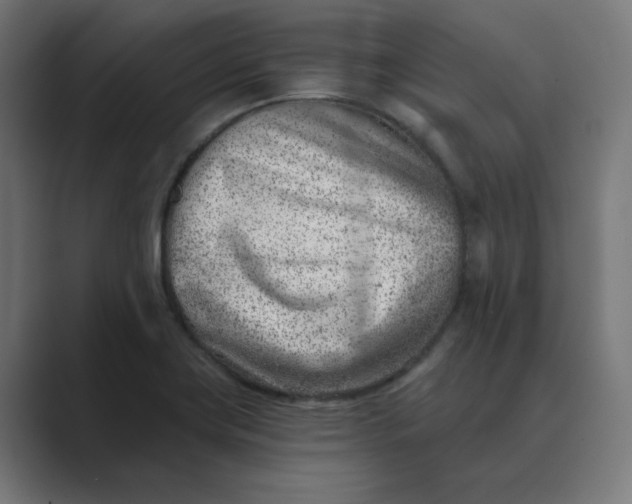 X0000089441419200706291417