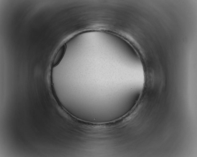 X0000089441421200706291417