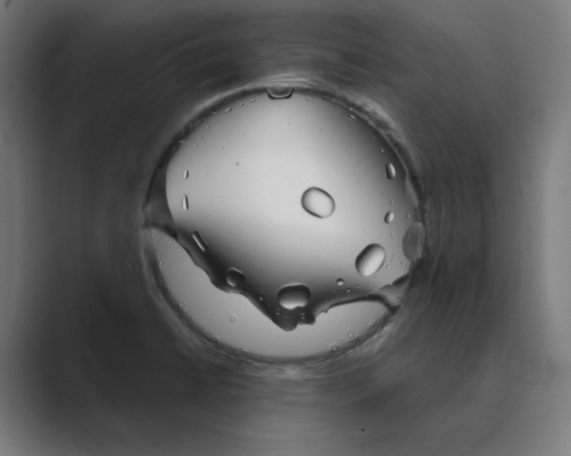 X0000089441422200706291417